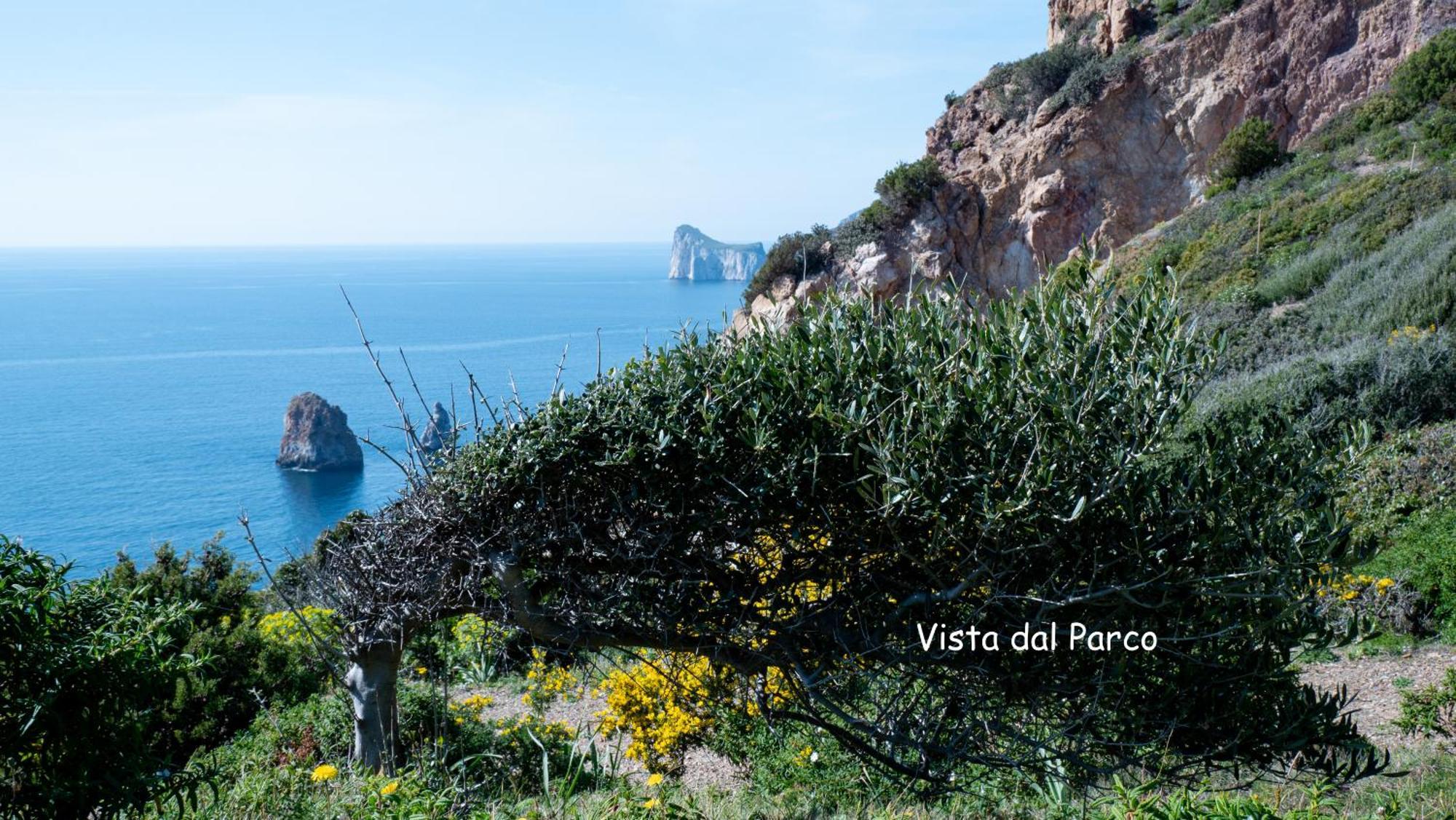 Il Dolce Risveglio Tanca Piras Villa Nebida Ngoại thất bức ảnh